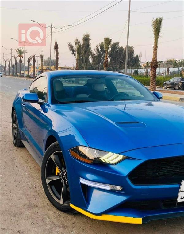 فۆرد  بۆ فرۆشتن لە عێراق